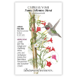 Cypress Vine Blend