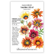 Gazania Sunshine Blend