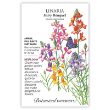Linaria Fairy Bouquet