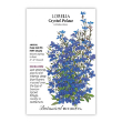 Lobelia Crystal Palace