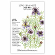 Love-in-a-Mist Delft Blue