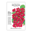 Nasturtium Cherry Rose Jewel