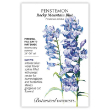 Penstemon Rocky Mountain Blue
