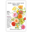Portulaca Moss Rose Double Blend