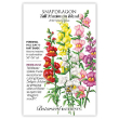 Snapdragon Tall Maximum