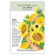 Sunflower Dwf Elves Blend Org