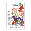 Sweet Pea Royal Blend