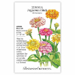 Zinnia Peppermint Stick