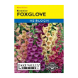 Foxglove Excelsior Mixed