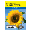 SUNFLOWER MAMMOTH GREYSTRIPE