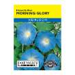 MORNING GLORY HEAVENLY BLUE