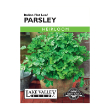 PARSLEY ITALIAN FLAT LEAF