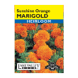 Marigold Sunshine Orange