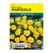 MARIGOLD LEMON DROP  HEIRLOOM