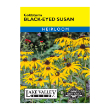 BLACK EYED SUSAN GOLDSTURM