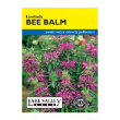 Bee Balm Lambada