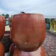 STRELOW RND PLNTR CPPR RED 20X18