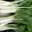 White-Stemmed Pak Choi