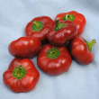 Ashe County Pimento