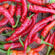 Cayenne Long Red