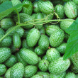 Mexican Sour Gherkin
