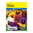 Pansy Swiss Giant Mixed Col