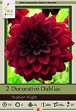 DAHLIA ARABIAN NIGHTS