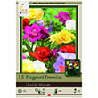 FREESIA DOUBLE MIX
