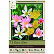 ZEPHYRANTHES MIX