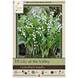 CONVALLARIA LILY OF VALLEY