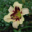HEMER 'MOONLIT MASQUERADE' 2G