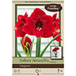 AMARY MAGNUM 32/34