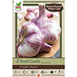 GARLIC PURPLE GLAZER 2PP