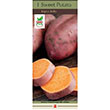 SWEET POTATO BAYOU BELLE