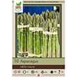 ASPARAGUS MILLENIUM