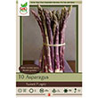 ASPARAGUS SWEET PURPLE