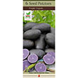 POTATO PURPLE MAJESTY