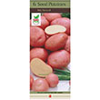 POTATO RED NORLAND