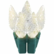 LT 50 C6 LED WARM WHITE