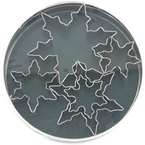 5PC COOKIE CUTTER SET Snowflake