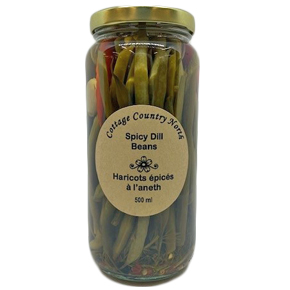 500ML CCN SPICY DILL BEANS