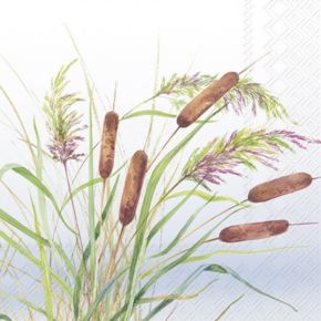 IHR Lunch Napkins Reeds/Cattails