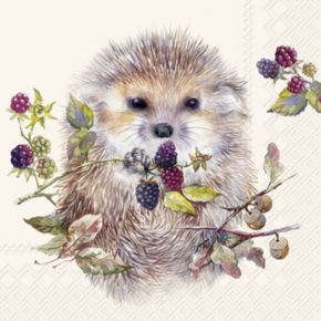Cocktail Napkin: Forest Hedgehog