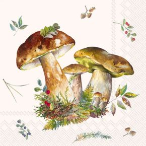 Cocktail Napkin Mushroom
