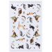 Tea Towel - Cat Collective