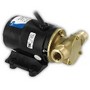 UTILITY PUMP 115V