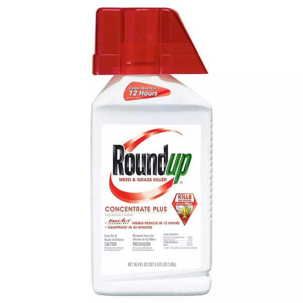 Roundup® Weed & Grass Killer Concentrate Plus - 36.8oz - Concentrate