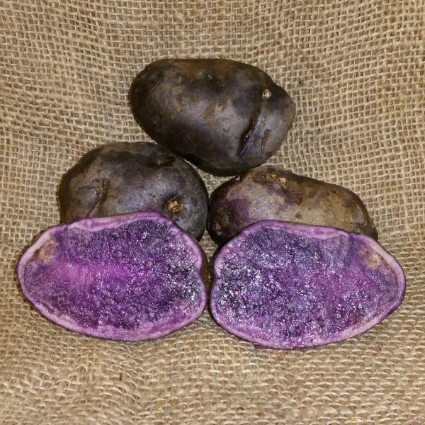 1 Lb All Blue Seed Potatoes