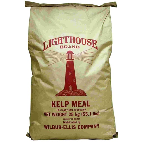 Willbur Ellis Kelp Meal - 50 lbs