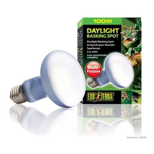 Hagen Exo Terra Daylight Basking Spot Lamp - R25 / 100 W